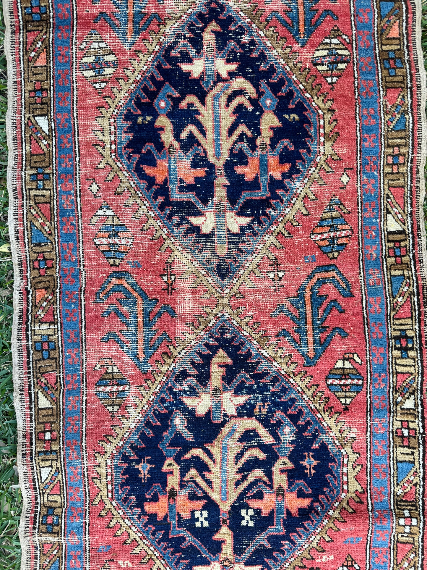 Martina (9’4” x 3’2”)