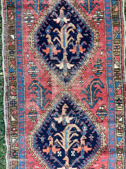 Martina (9’4” x 3’2”)