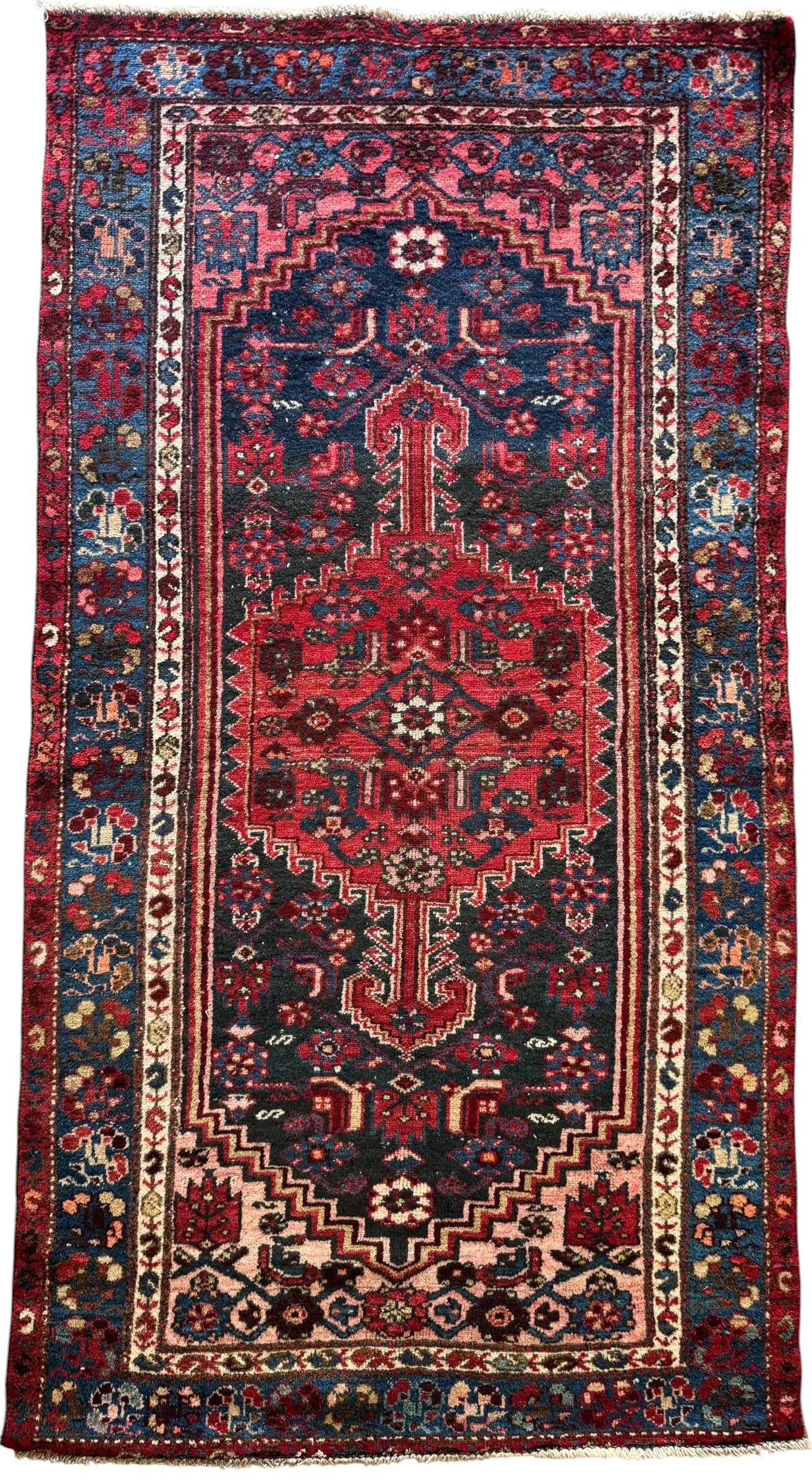 Zara (3’4” x 6’3”)