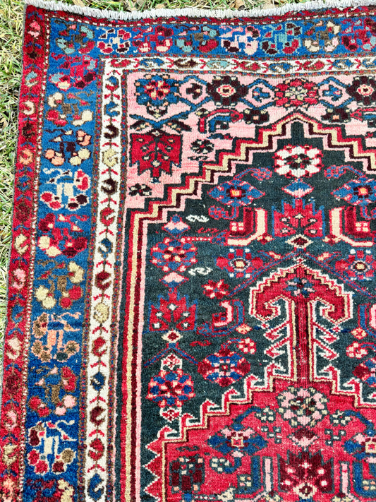 Zara (3’4” x 6’3”)