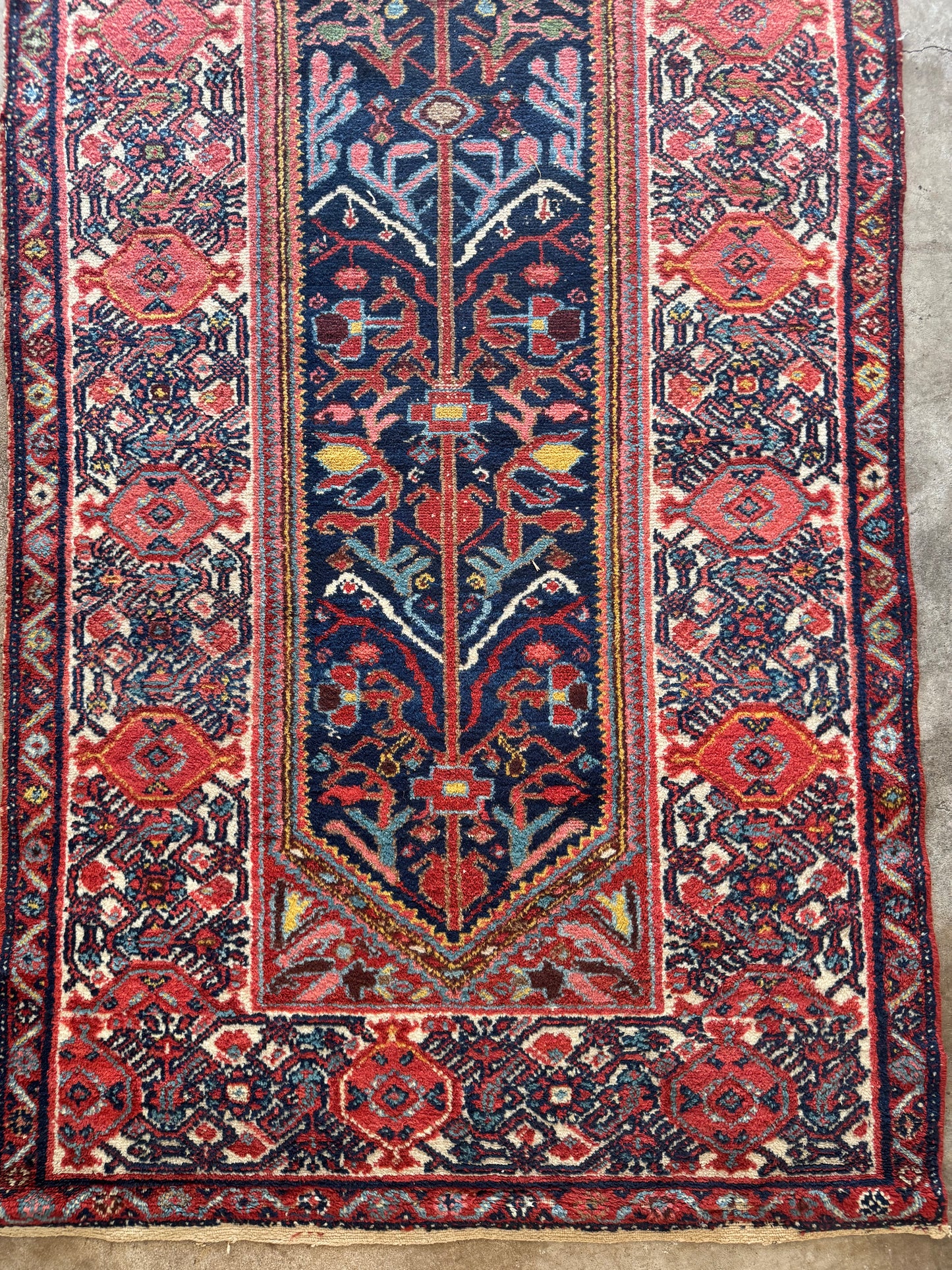 Astrid (13’5” x 3’6”)