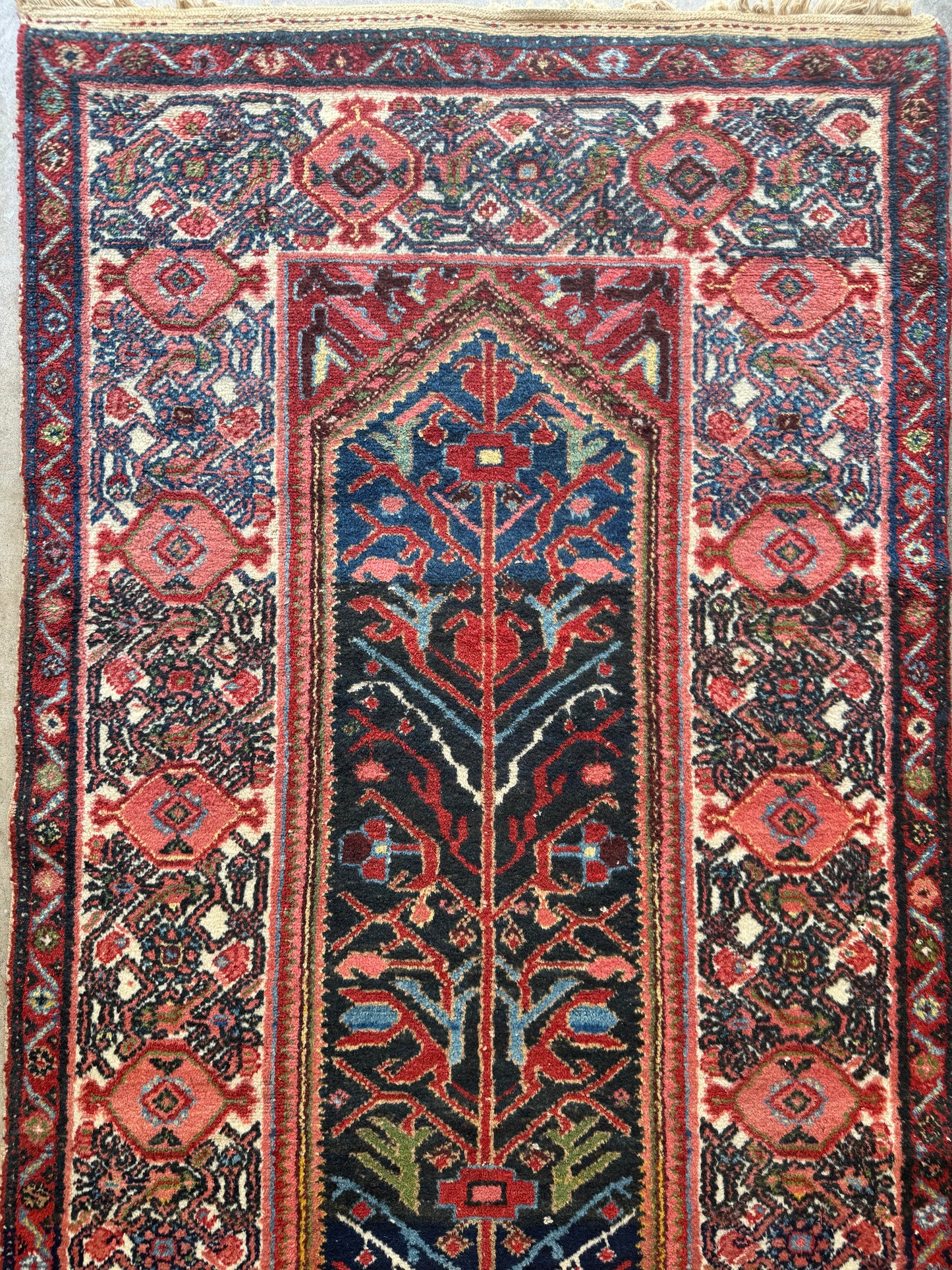 Astrid (13’5” x 3’6”)