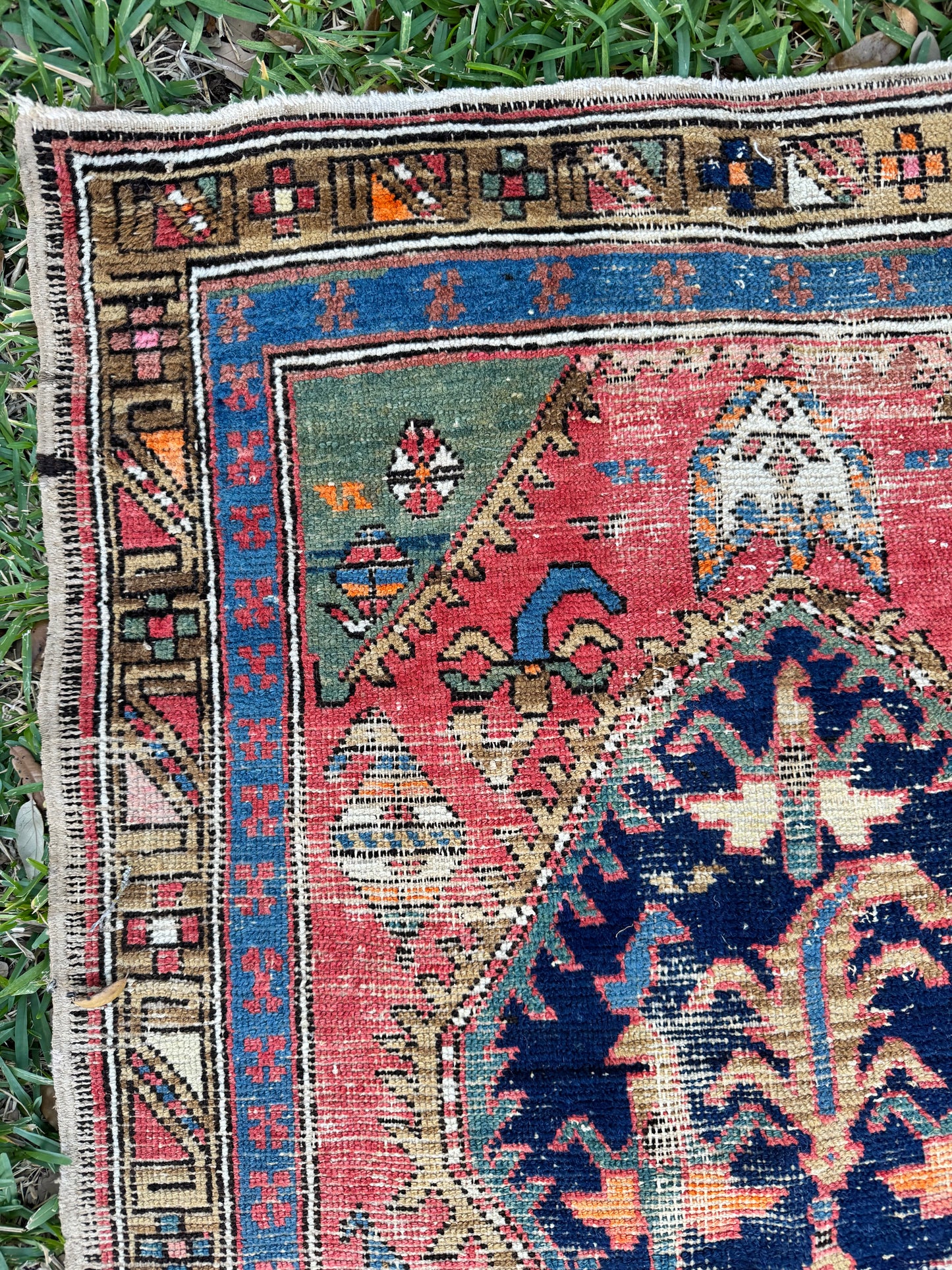 Martina (9’4” x 3’2”)