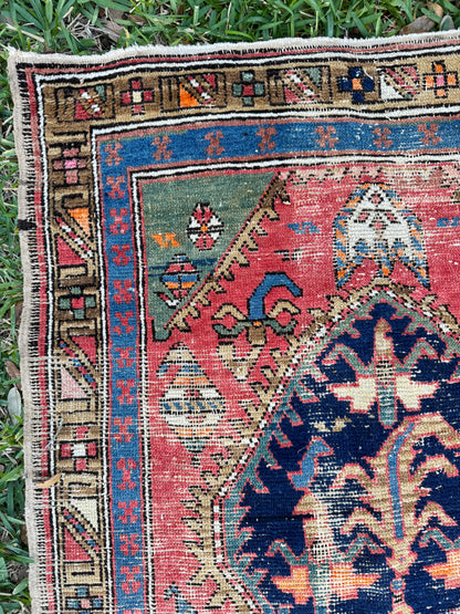 Martina (9’4” x 3’2”)