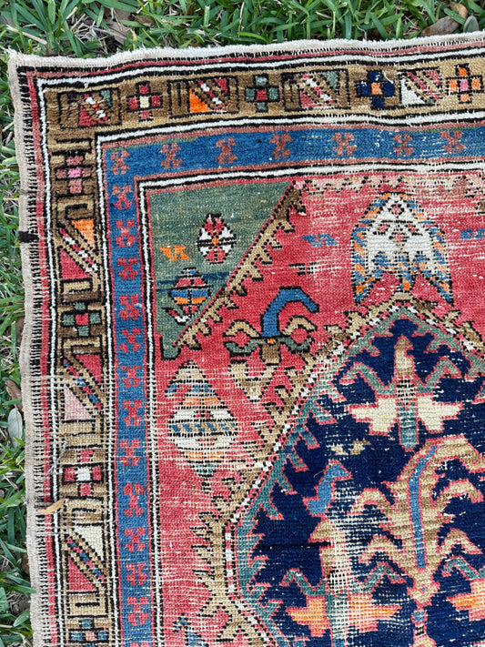 Martina (9’4” x 3’2”)