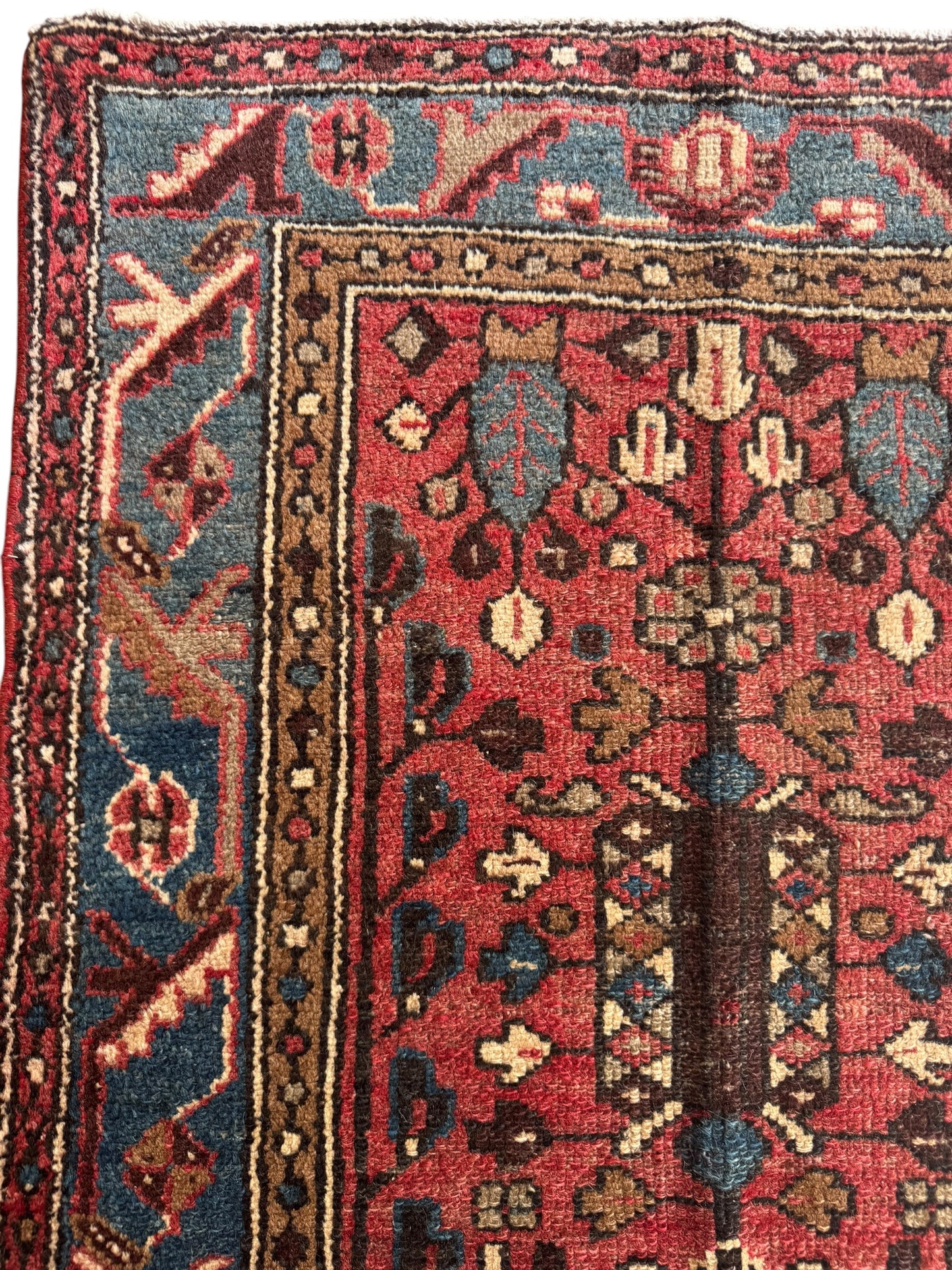 Jasmine (2’11” x 9’3”)