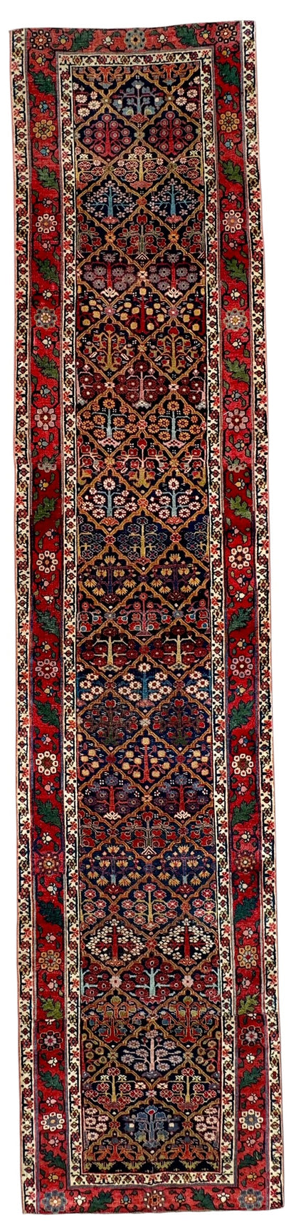 Ruby (14’10” x 3’2”)