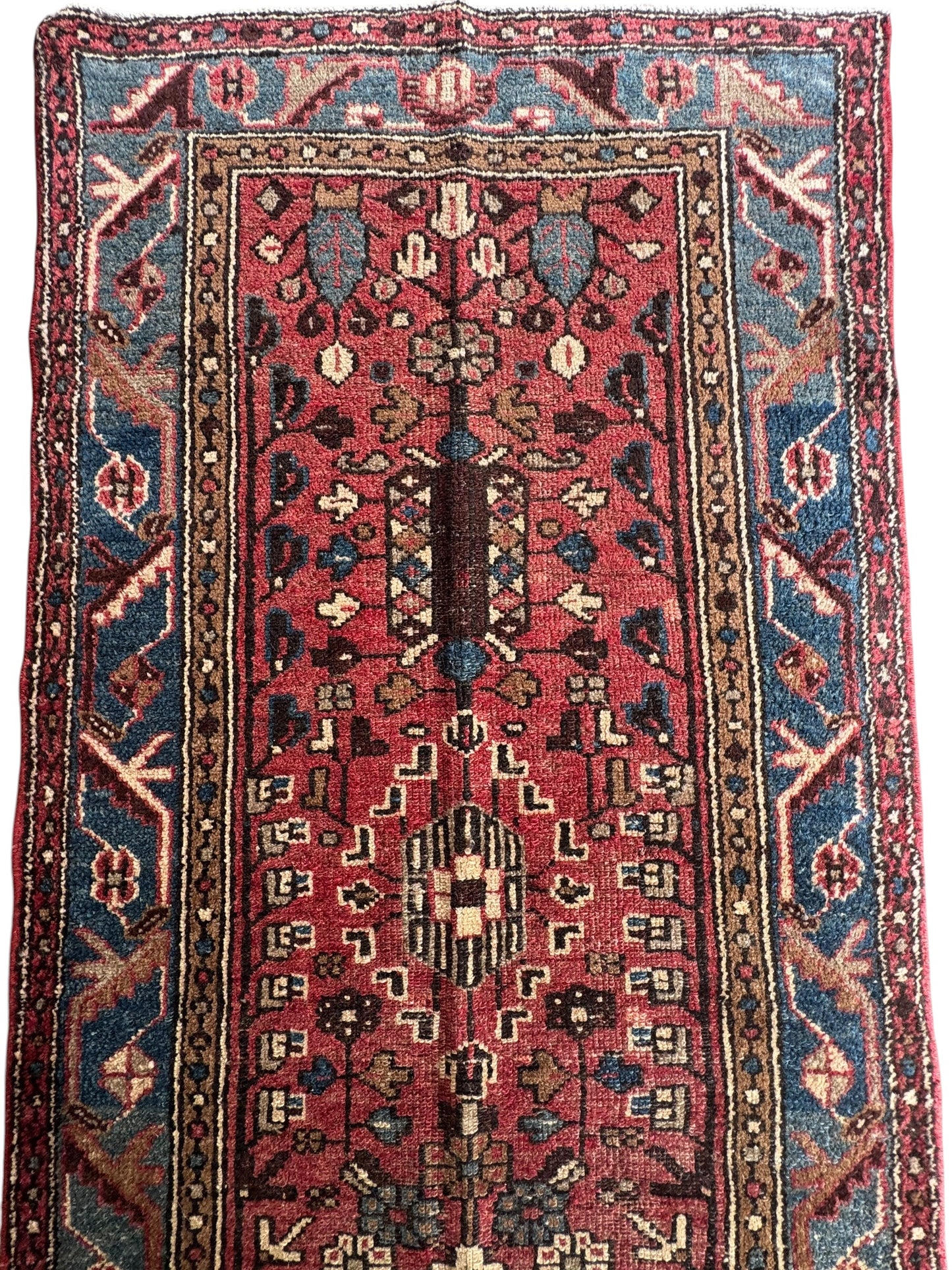 Jasmine (2’11” x 9’3”)