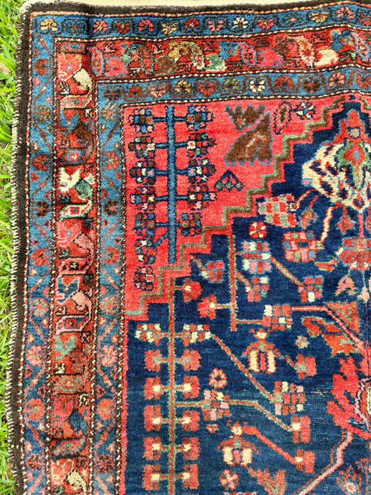 Amelia (7’ x 4’5)