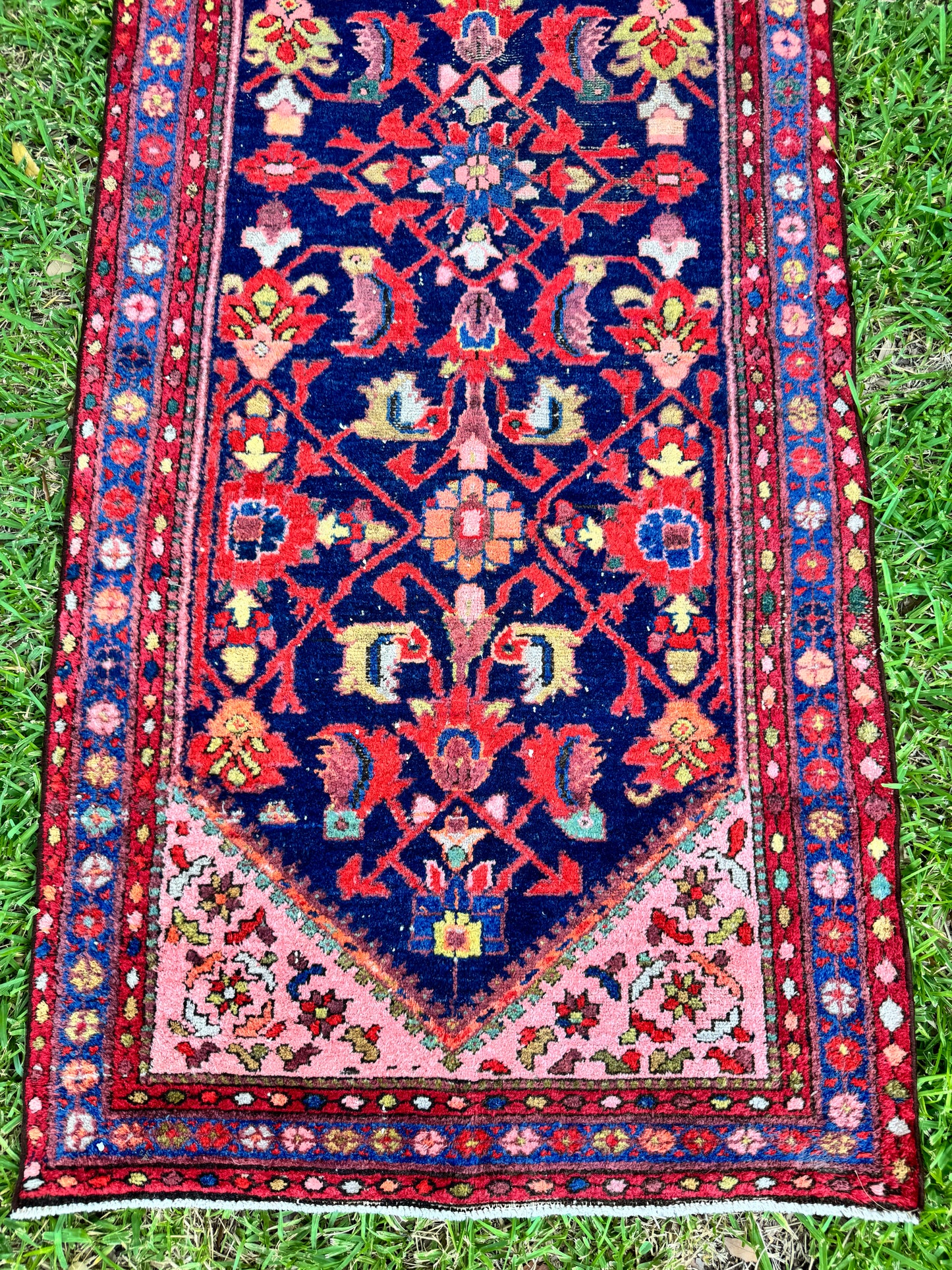 Wylder (13’6” x 3’3”)