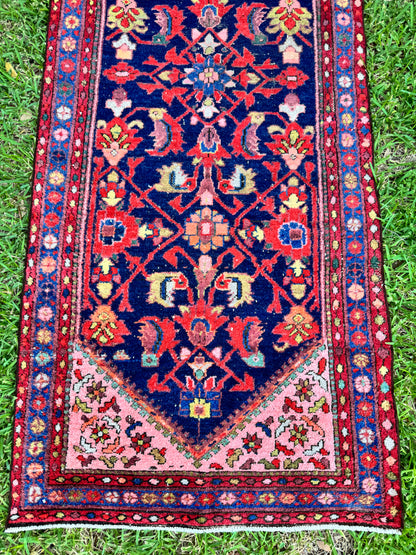 Wylder (13’6” x 3’3”)