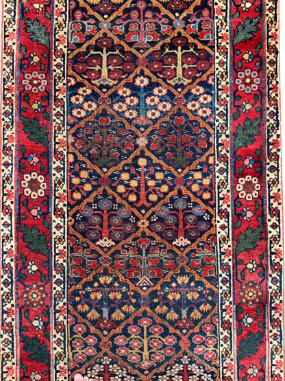 Ruby (14’10” x 3’2”)