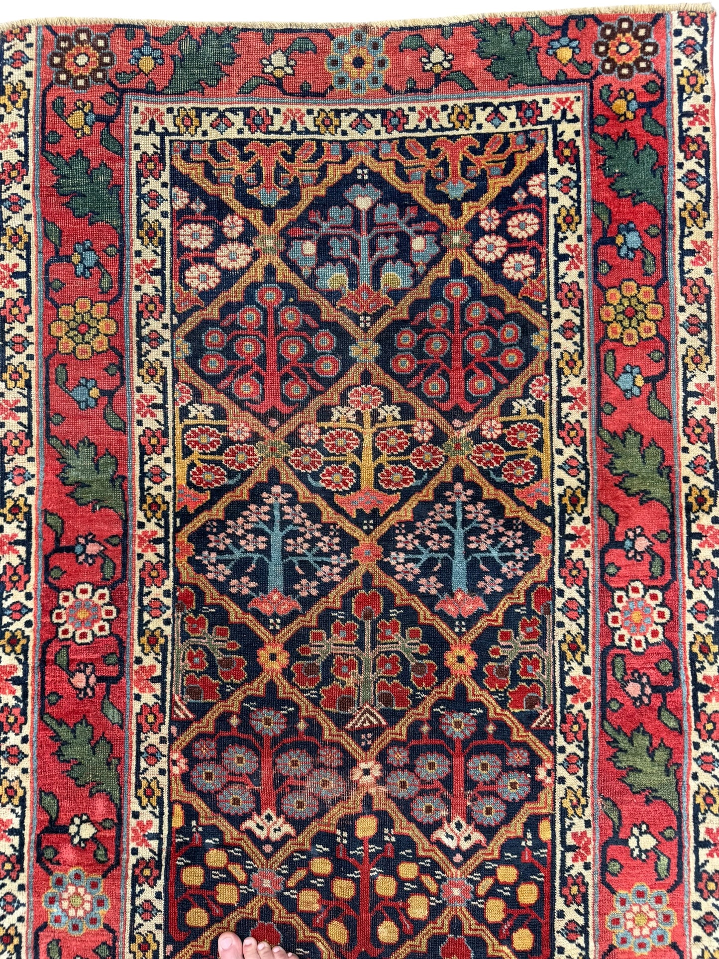 Ruby (14’10” x 3’2”)