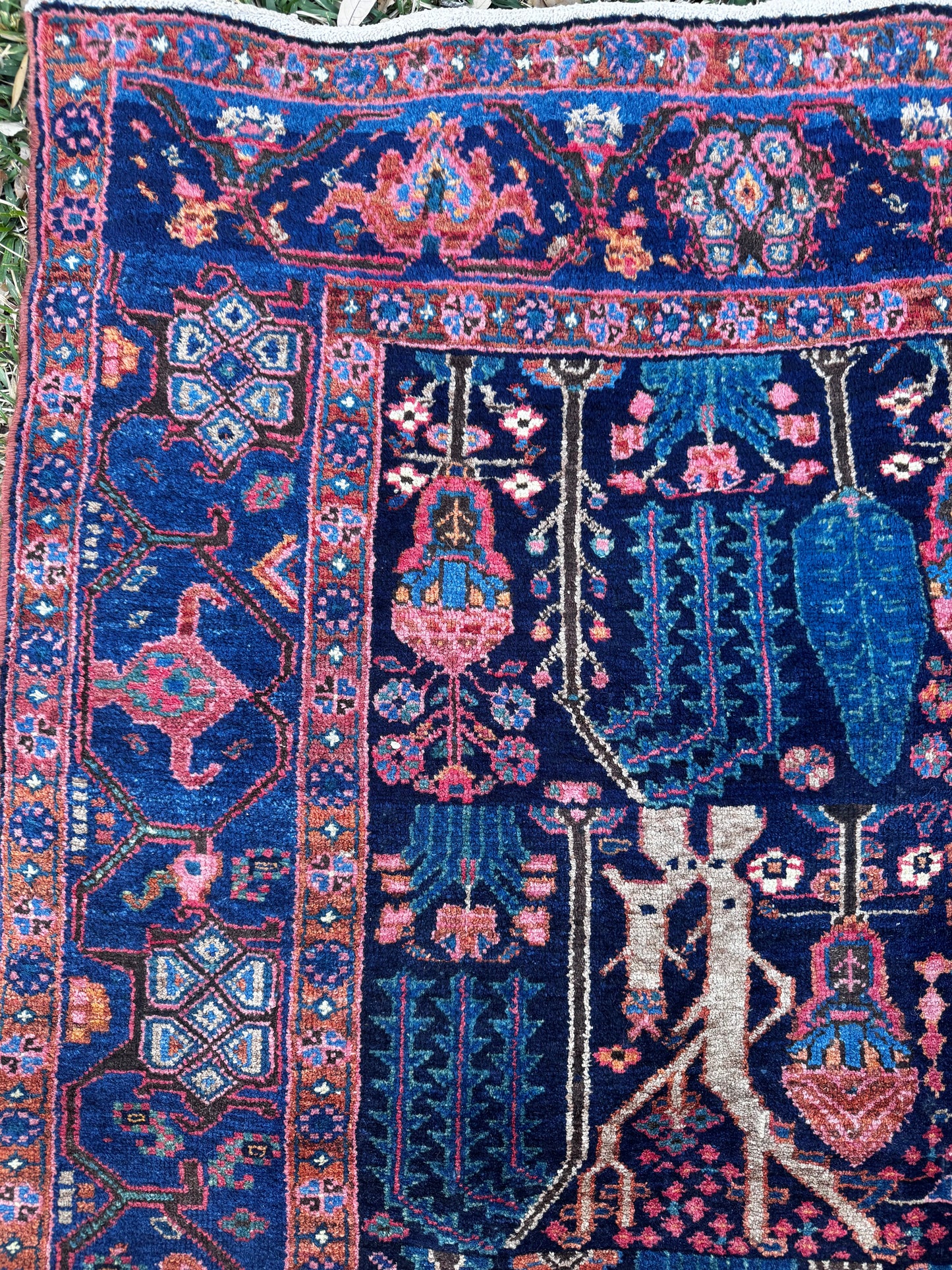 Shanti (4’9” x 7’8”)