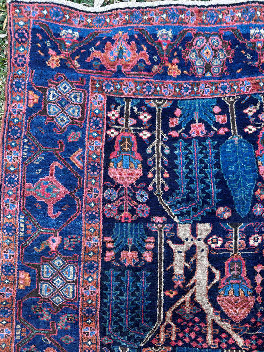 Shanti (4’9” x 7’8”)