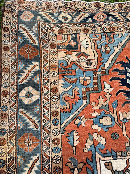 Aura (7’3x11’6”)