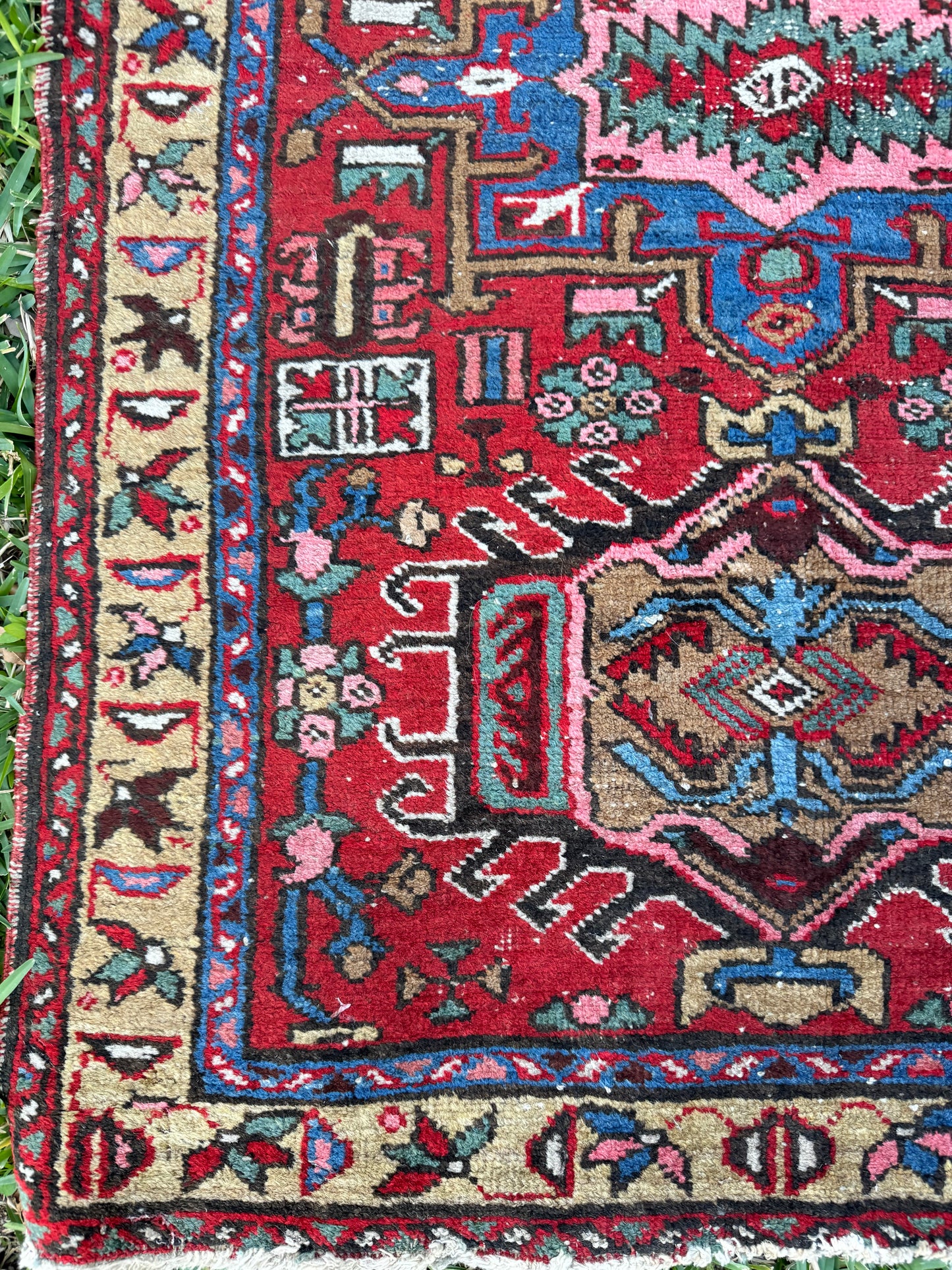 Jayne (2’10” x 4’4”)