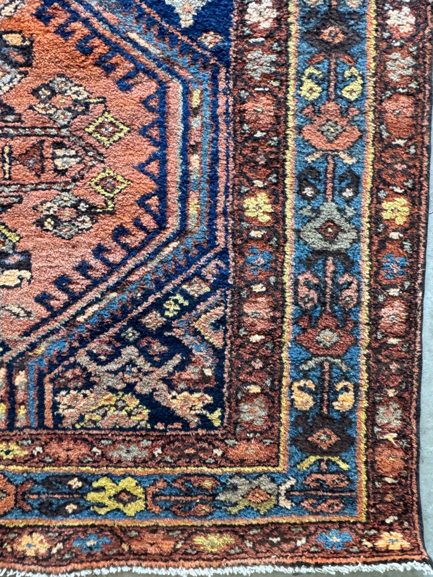 Leo (3’10” x 9’11”)