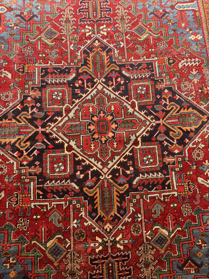 Enzo (11’7” x 8’2”)