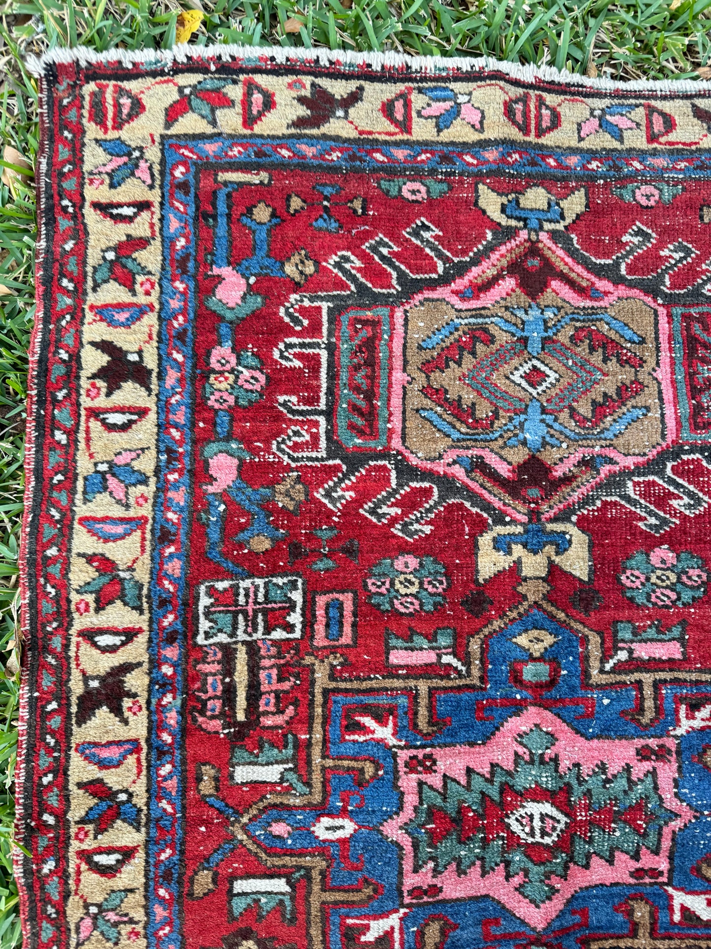 Jayne (2’10” x 4’4”)