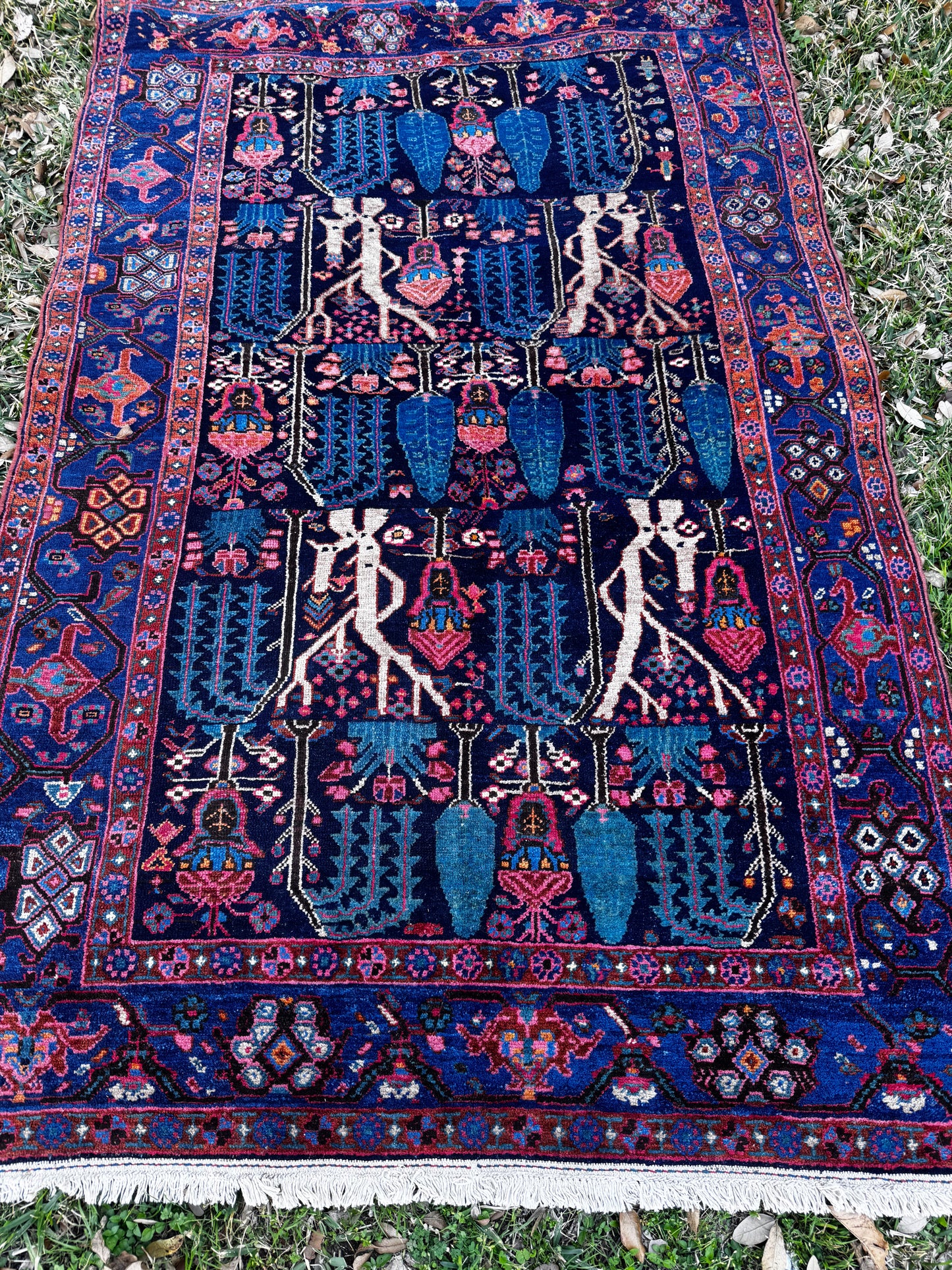 Shanti (4’9” x 7’8”)