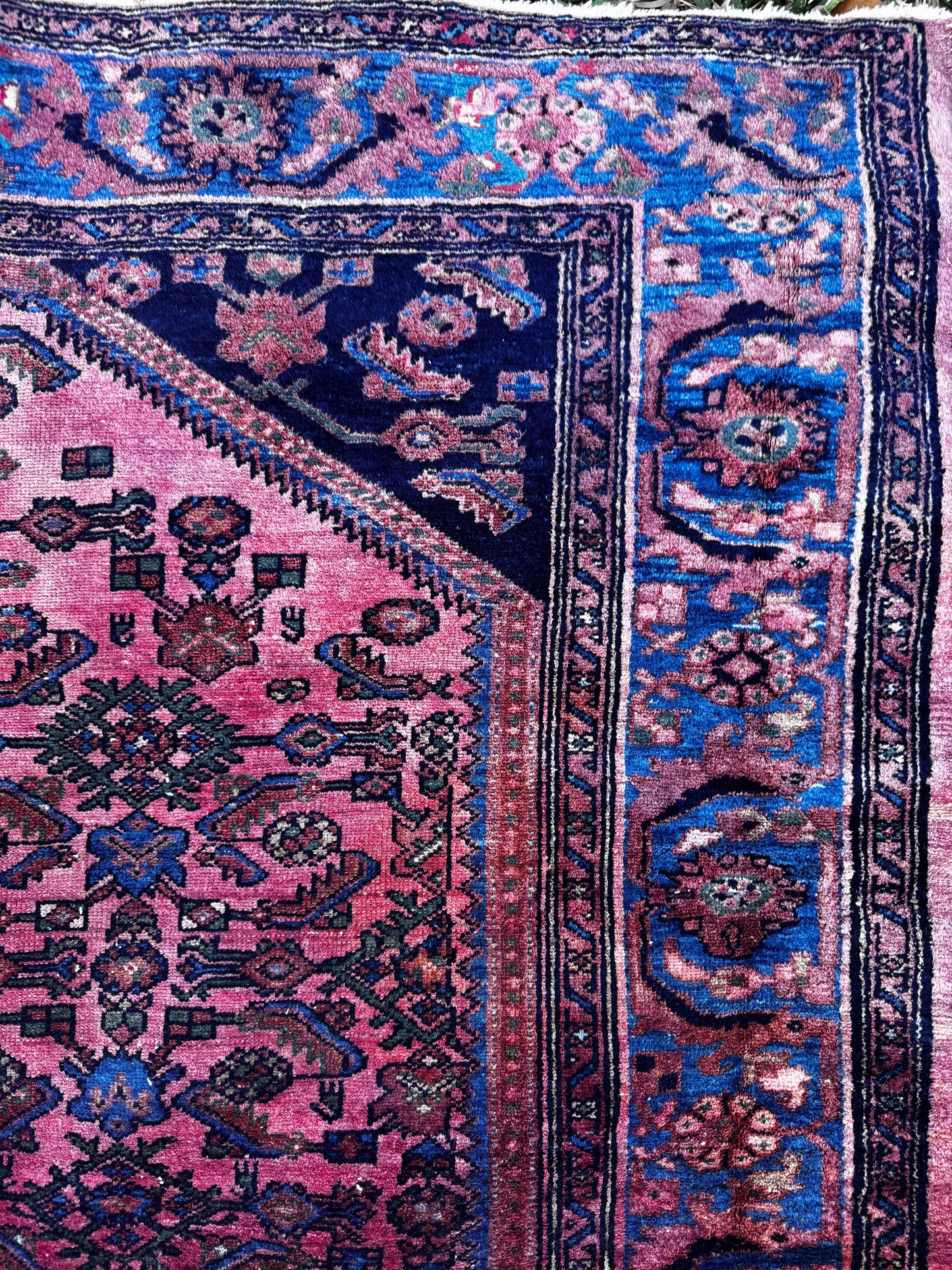 Peony (5’5” x 6’)