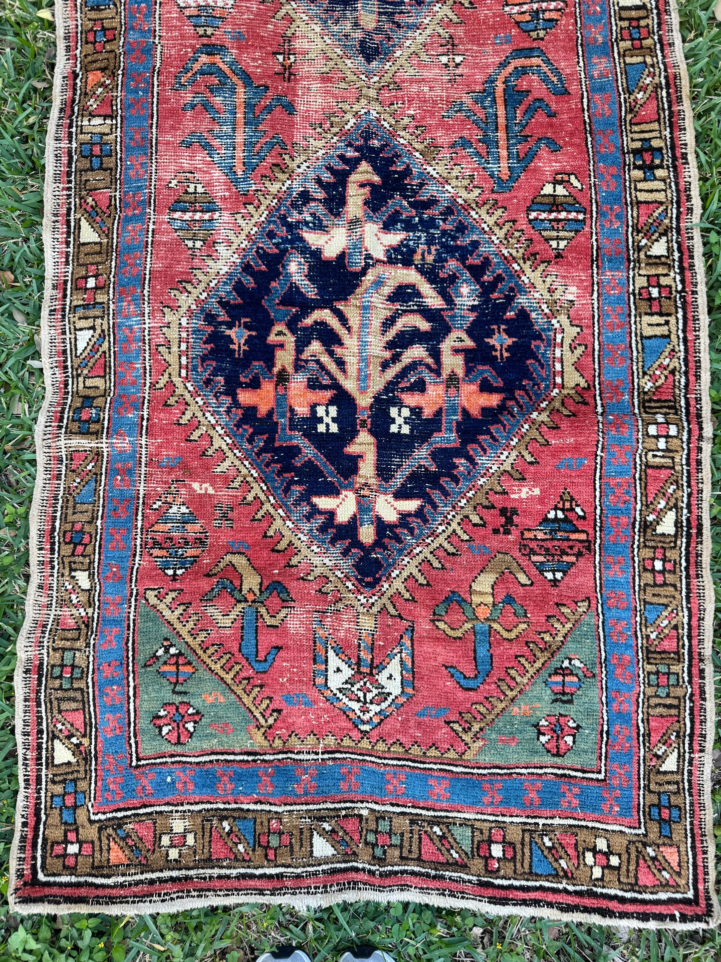 Martina (9’4” x 3’2”)