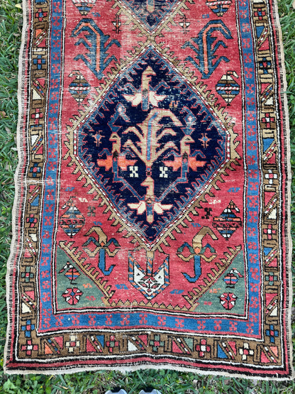 Martina (9’4” x 3’2”)