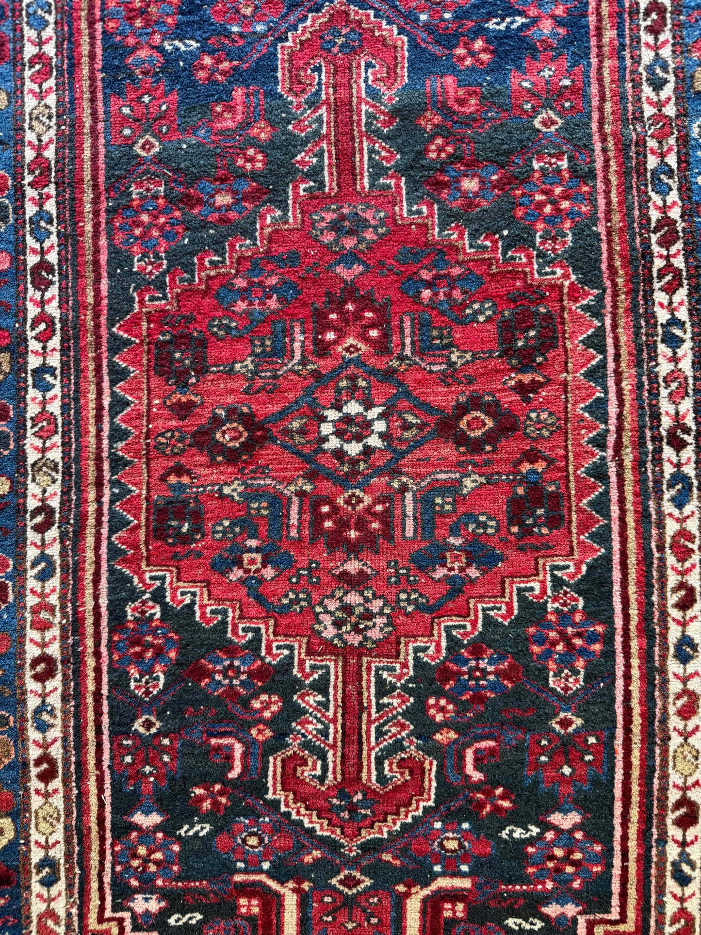 Zara (3’4” x 6’3”)