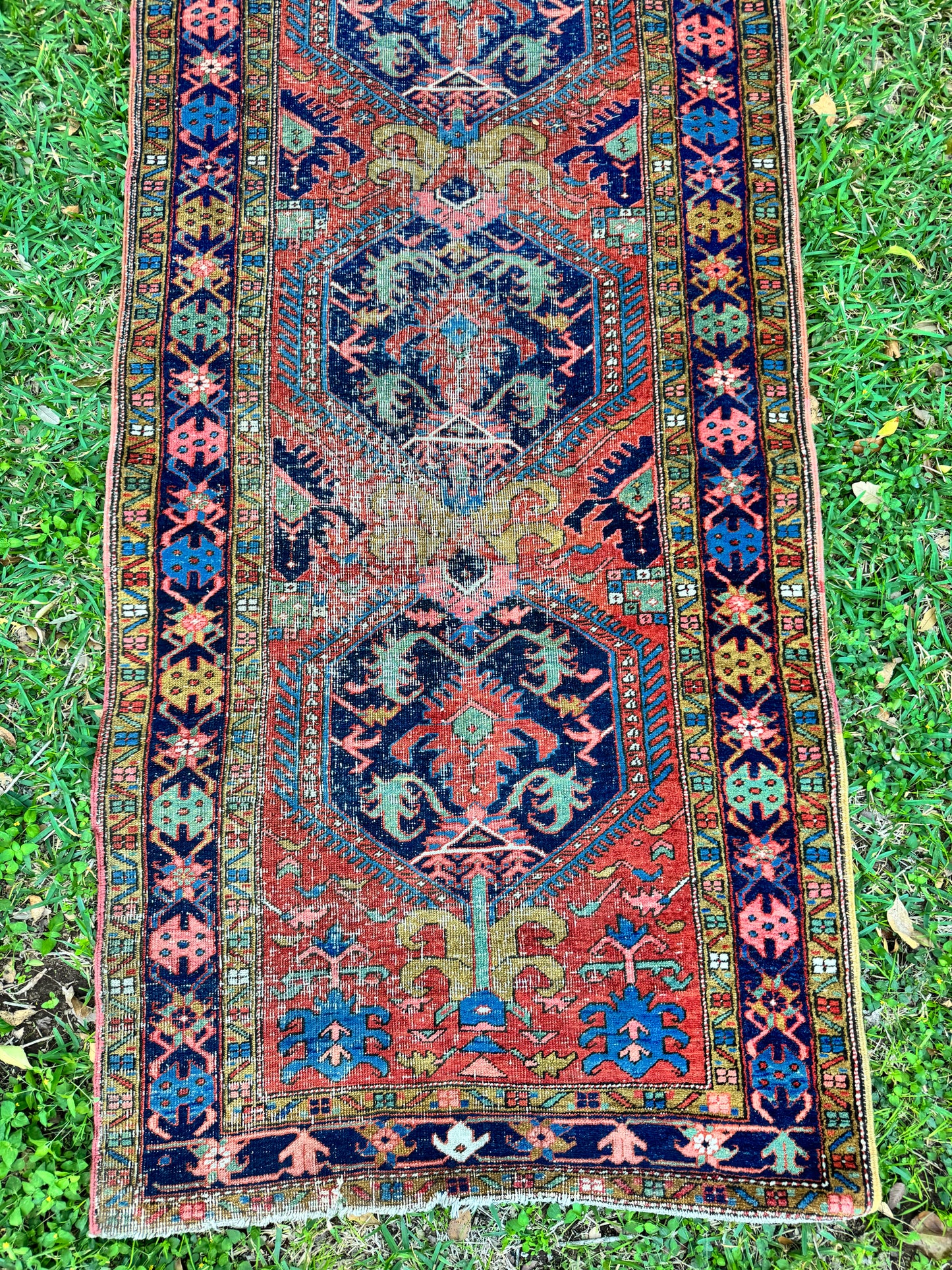 Gustav (3’5” x 17’9”)