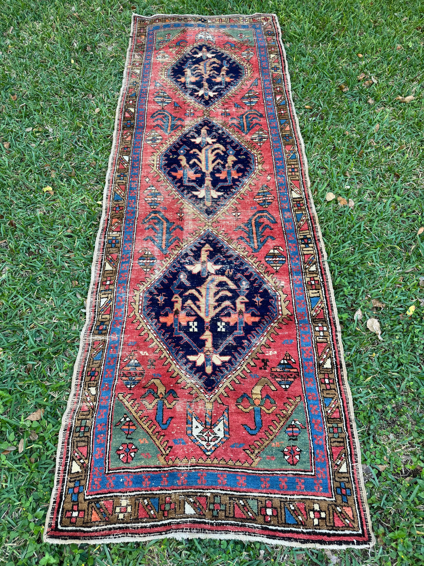 Martina (9’4” x 3’2”)