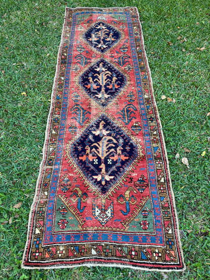 Martina (9’4” x 3’2”)