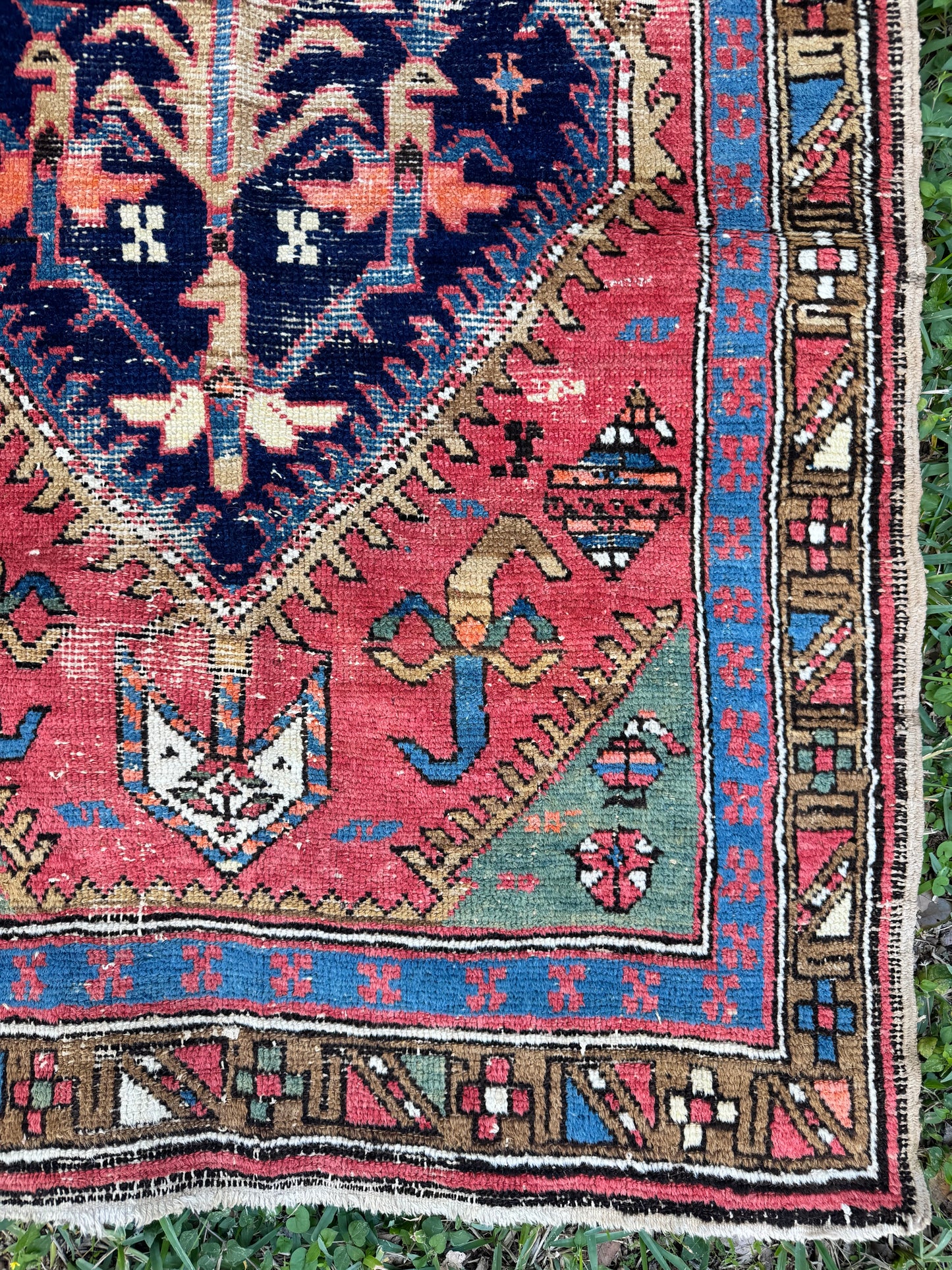 Martina (9’4” x 3’2”)