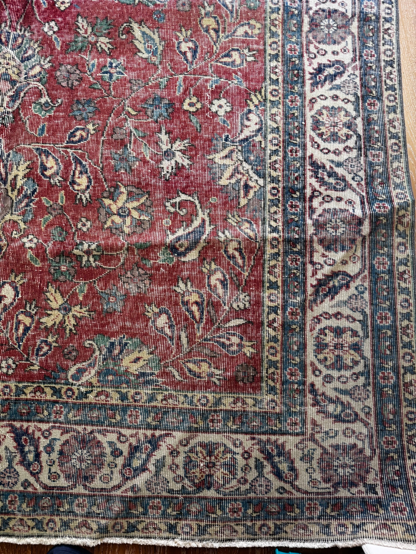 Frieda (7’2” x 10’5”)