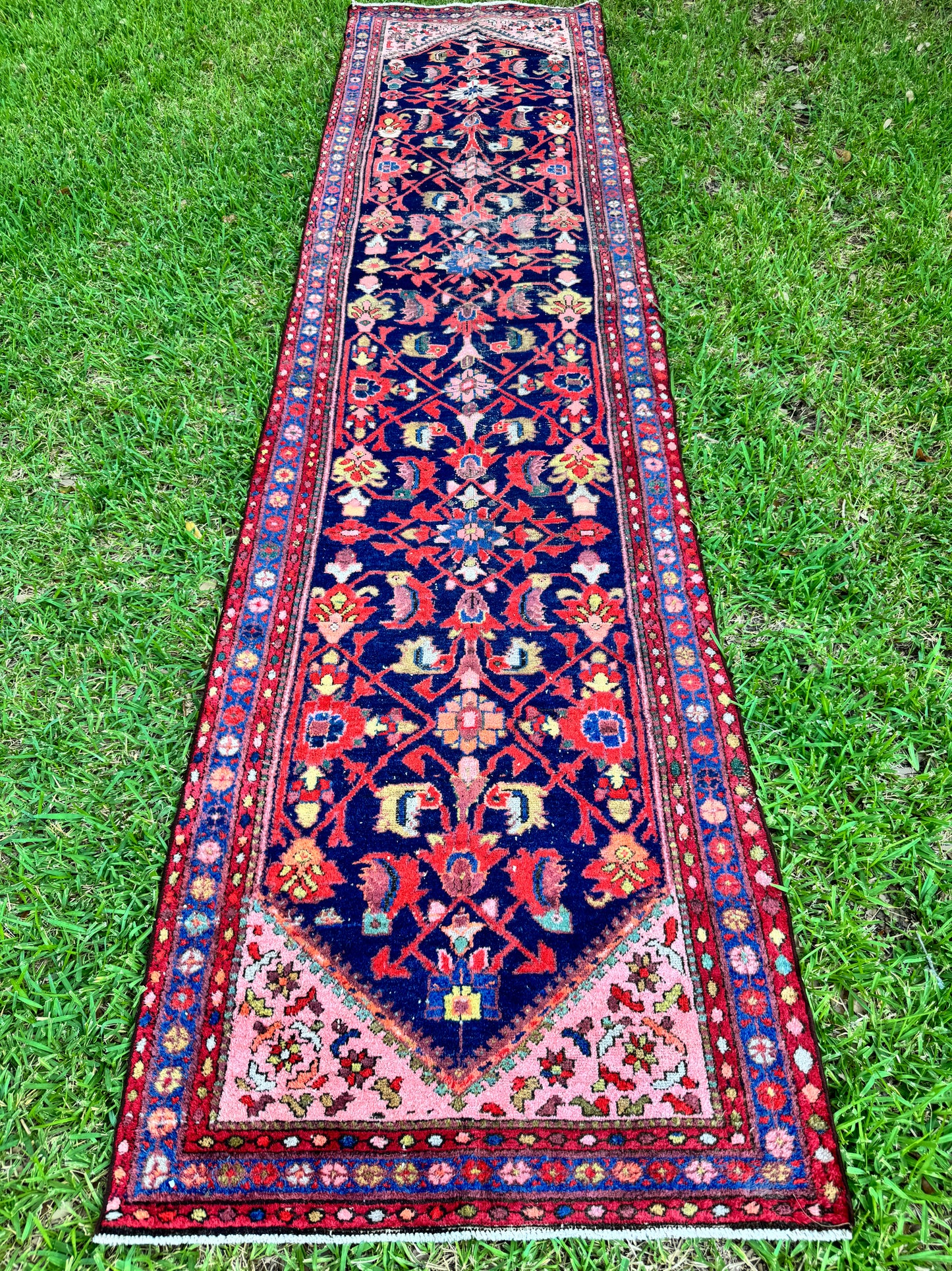 Wylder (13’6” x 3’3”)