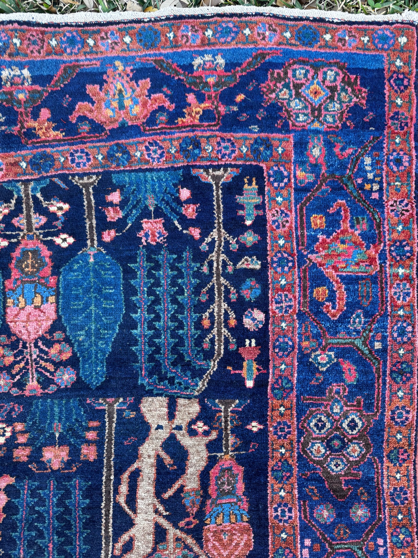 Shanti (4’9” x 7’8”)