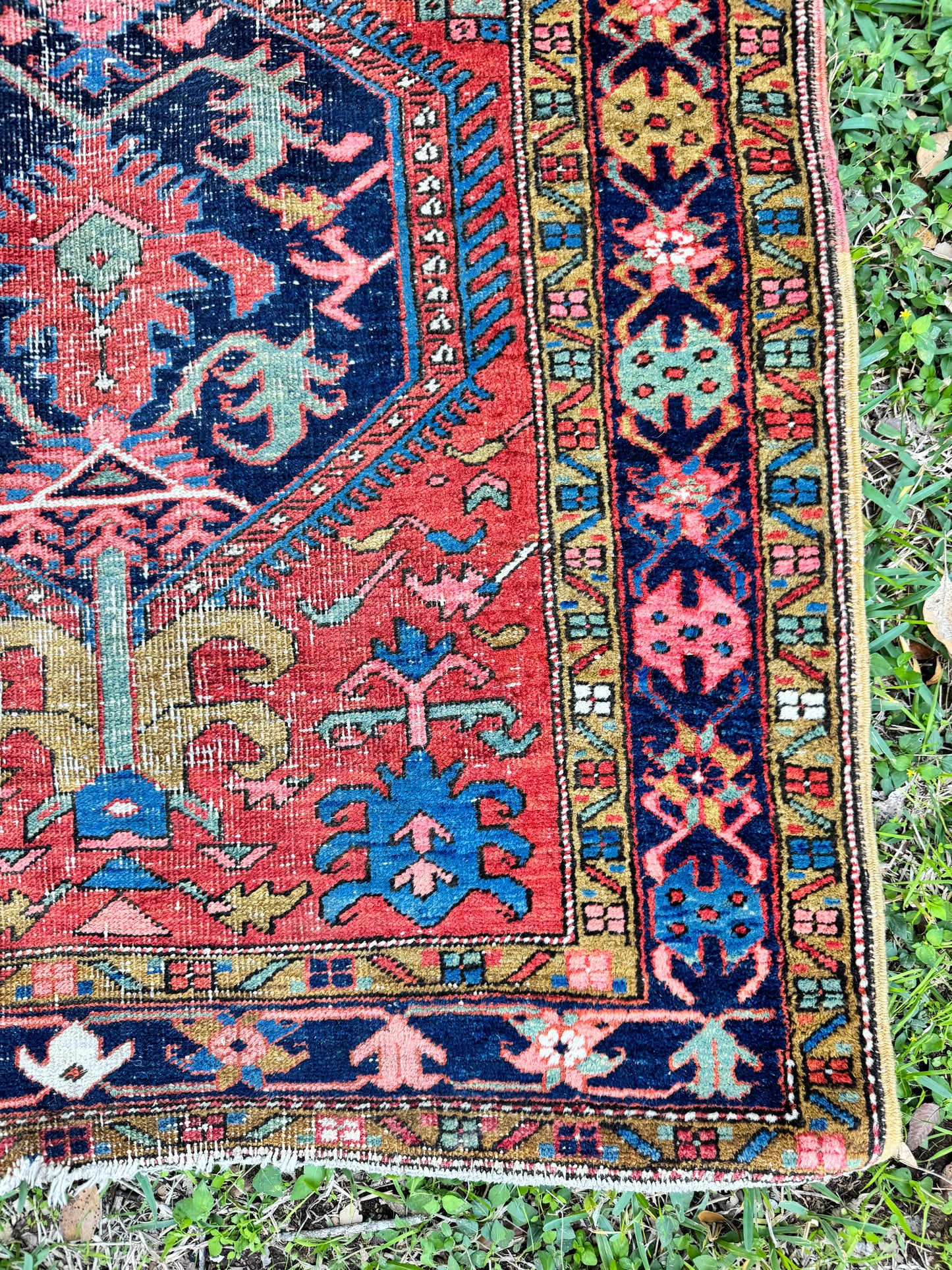 Gustav (3’5” x 17’9”)