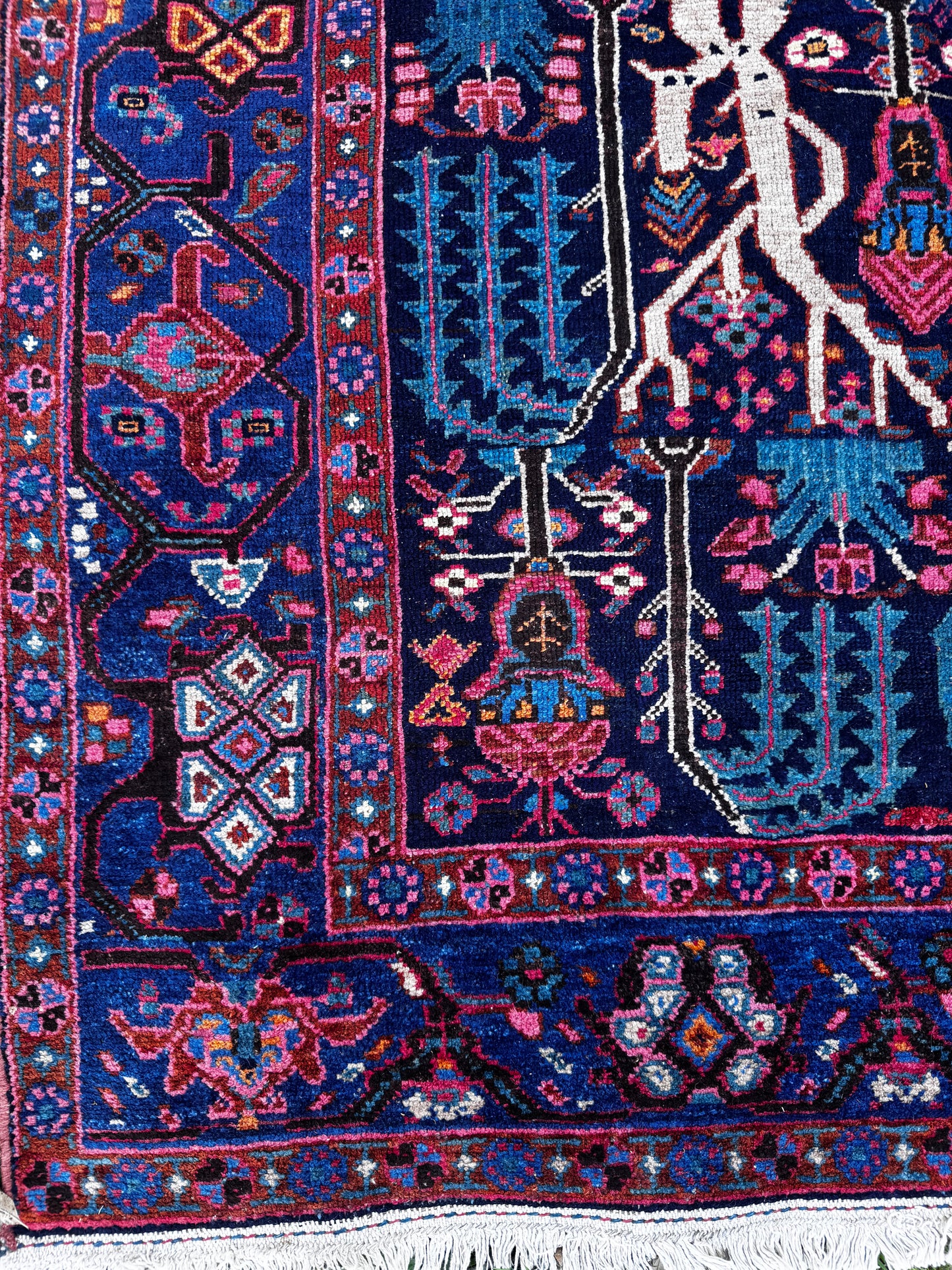 Shanti (4’9” x 7’8”)