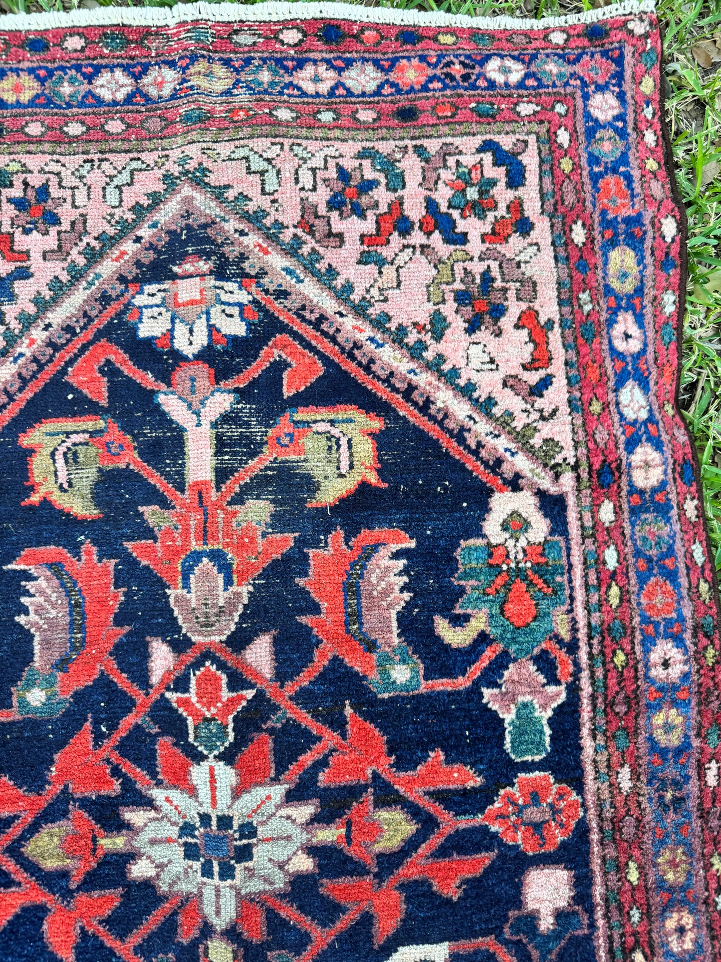 Wylder (13’6” x 3’3”)