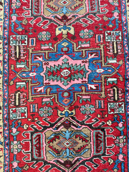 Jayne (2’10” x 4’4”)