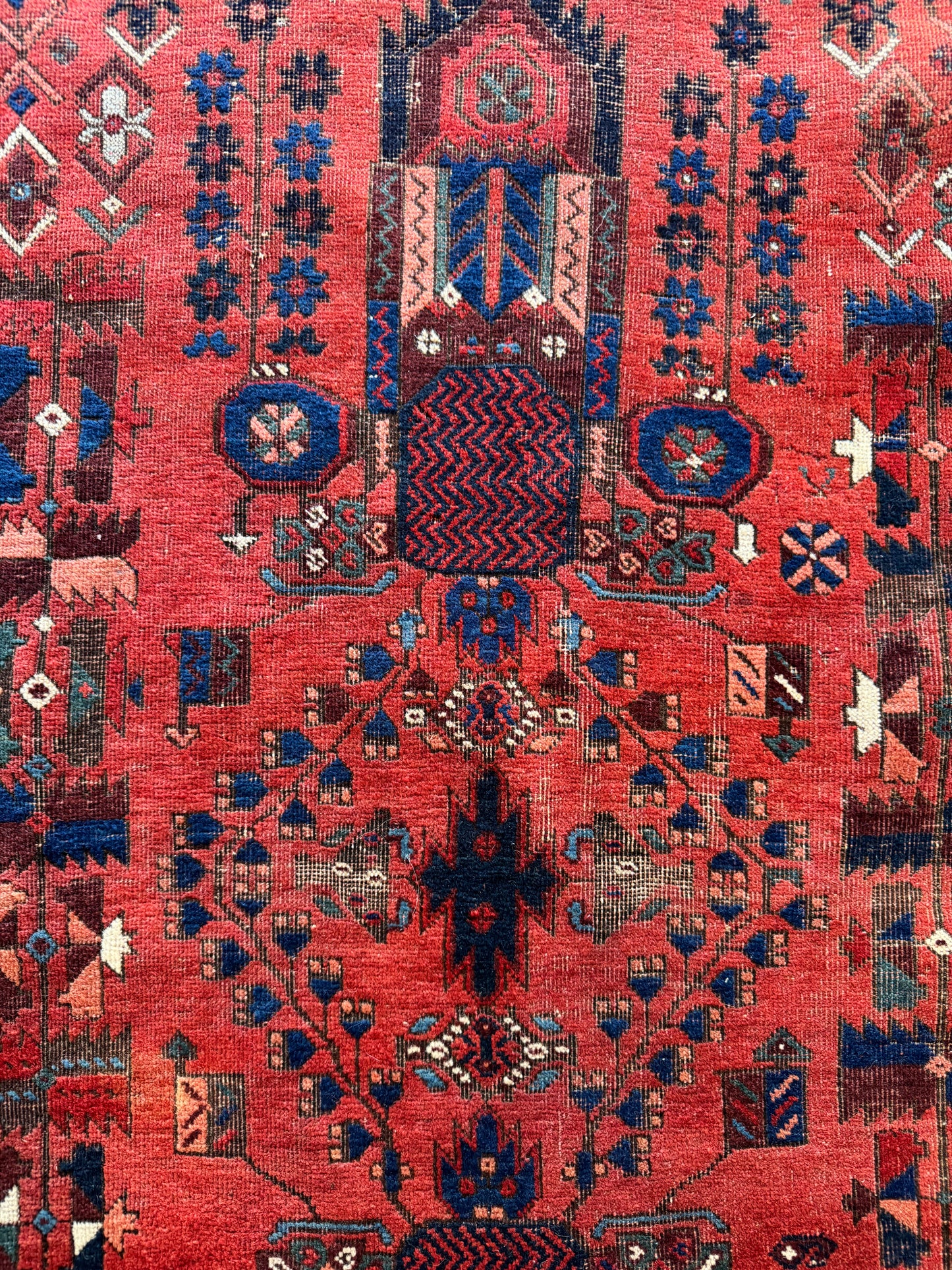 Allan (4’ x 6’5”)
