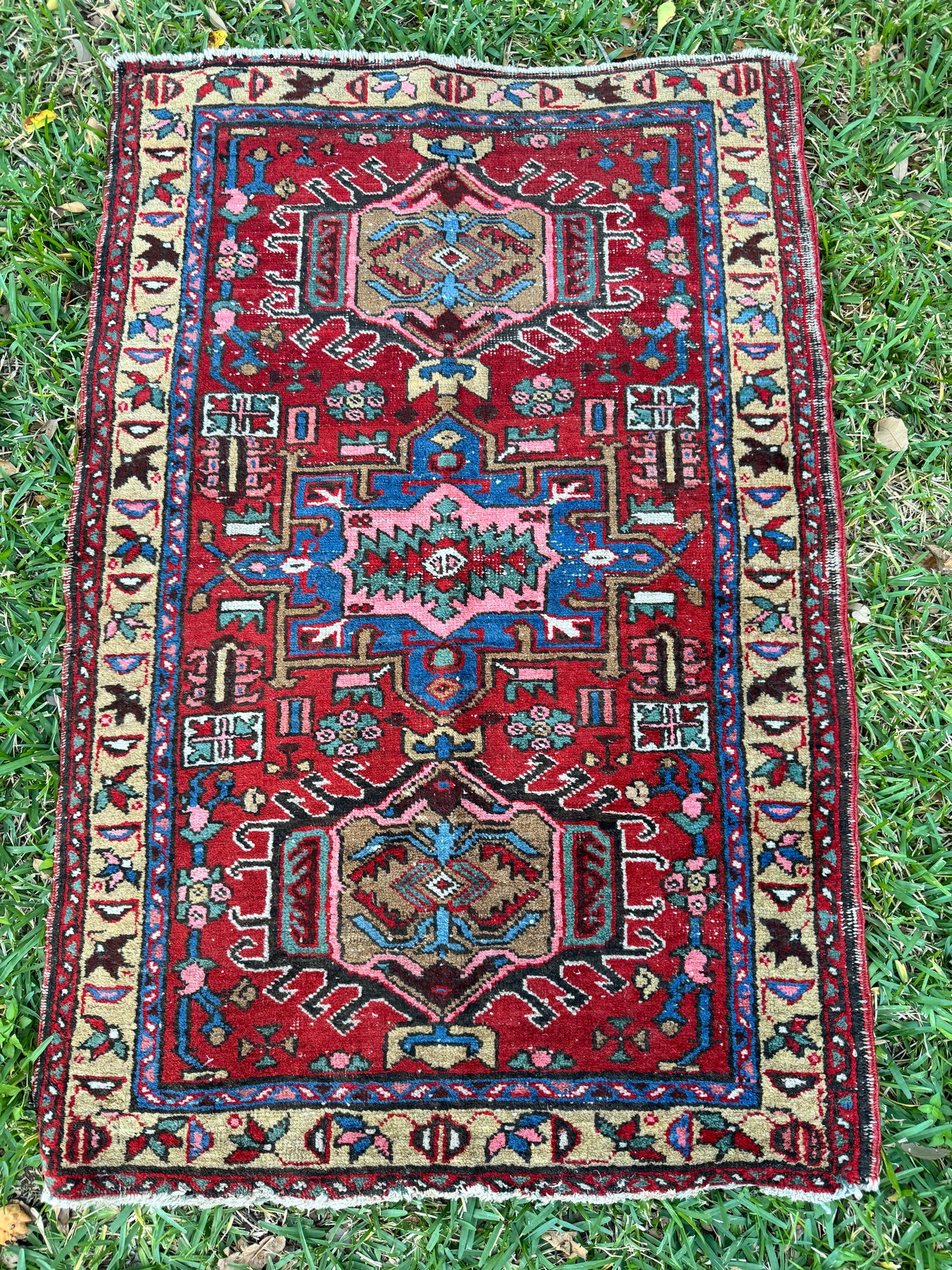 Jayne (2’10” x 4’4”)