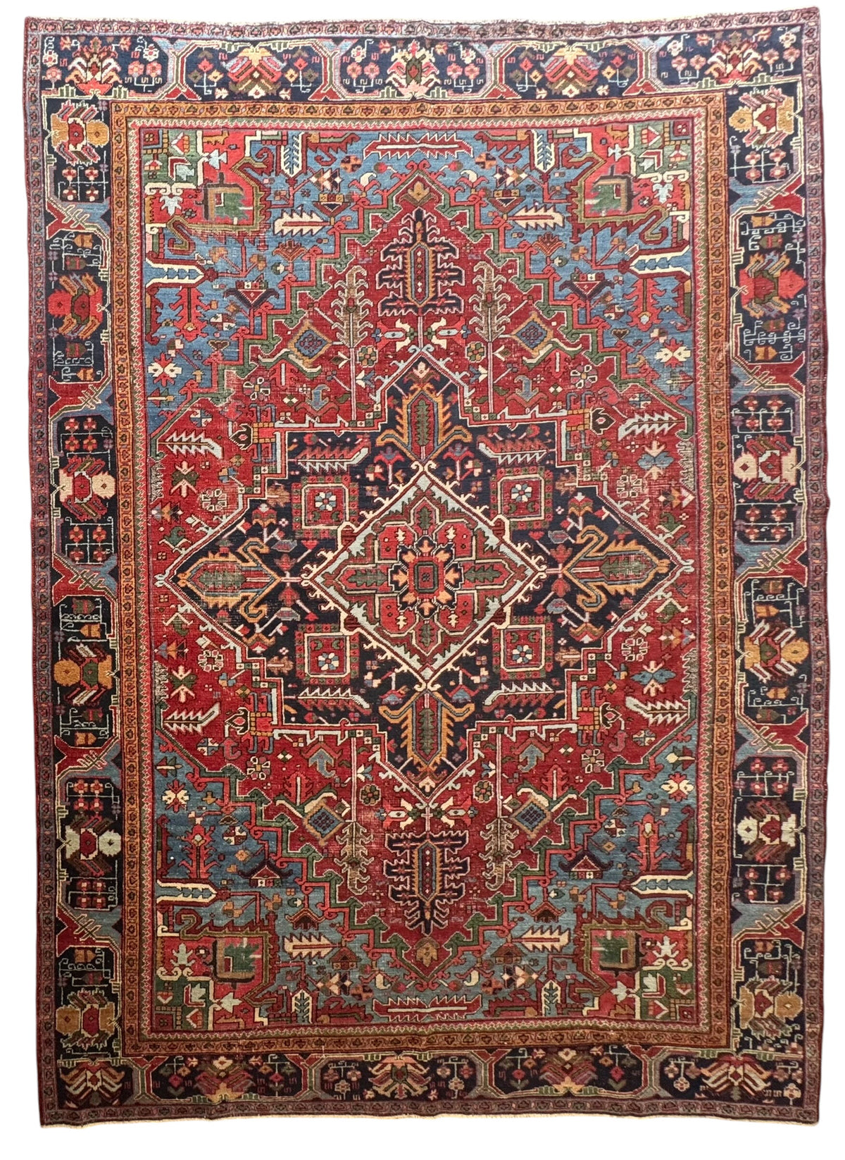 Enzo (11’7” x 8’2”)