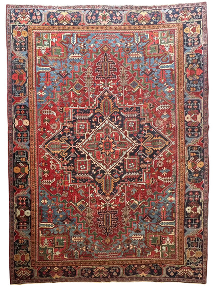 Enzo (11’7” x 8’2”)