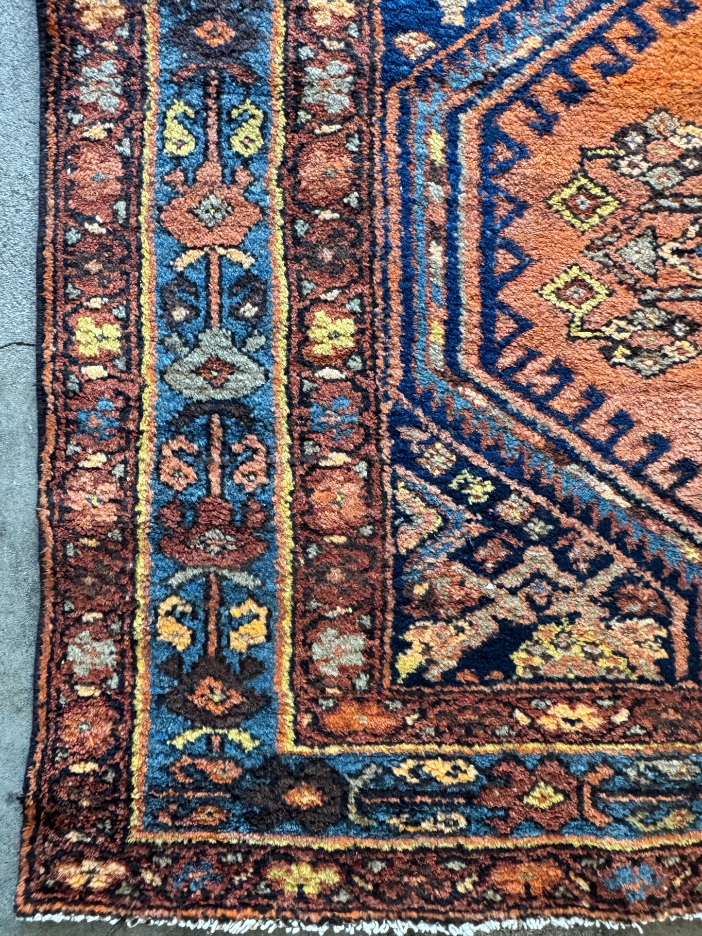 Leo (3’10” x 9’11”)