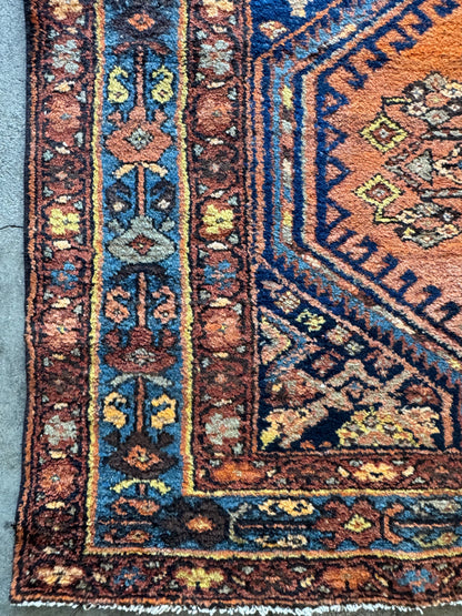 Leo (3’10” x 9’11”)