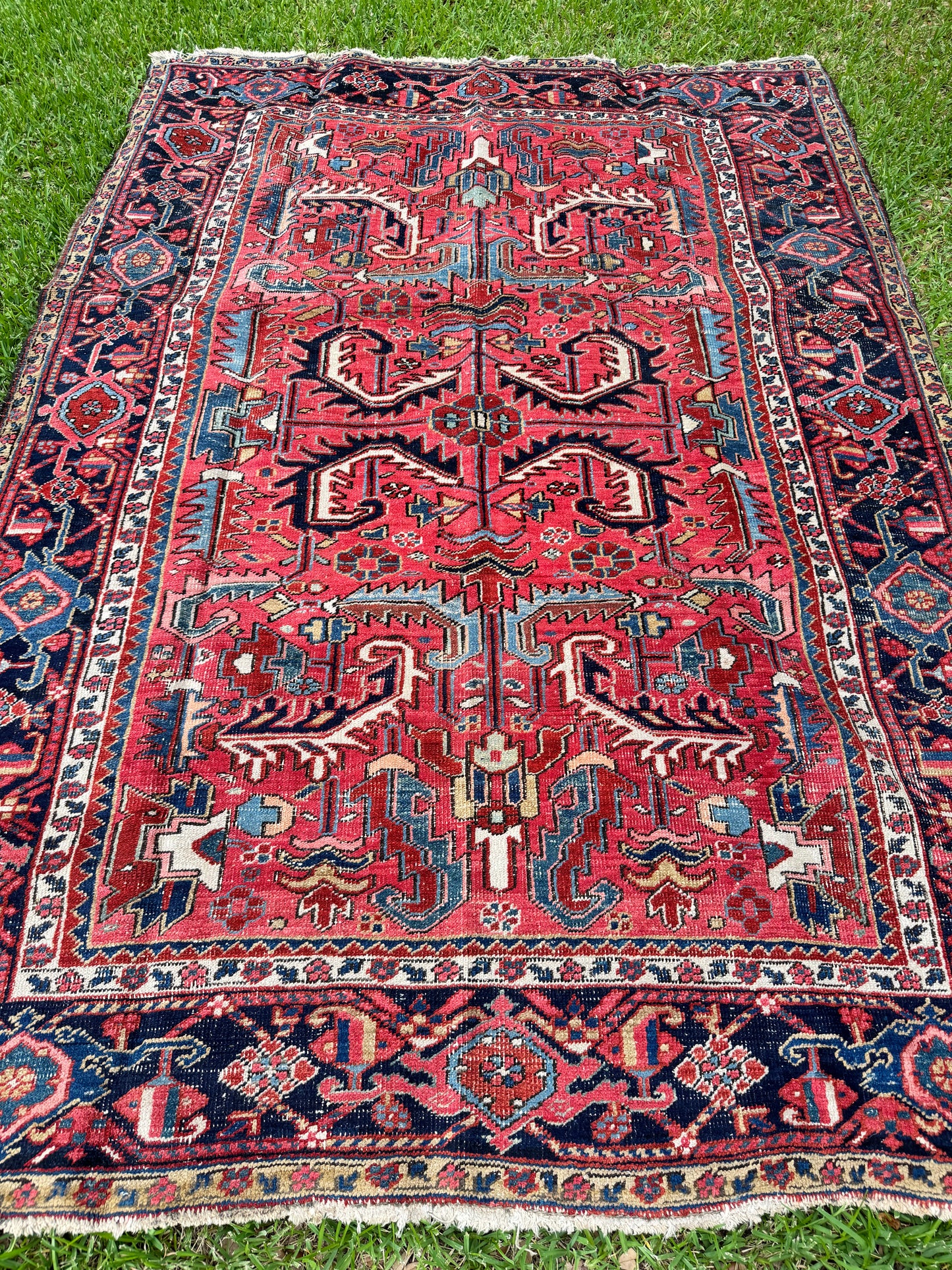 Ramona (10’5” x 6’10”)