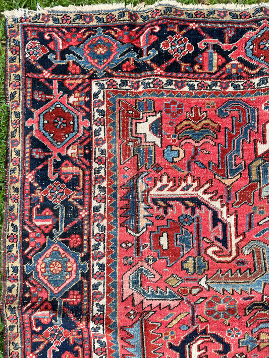 Ramona (10’5” x 6’10”)