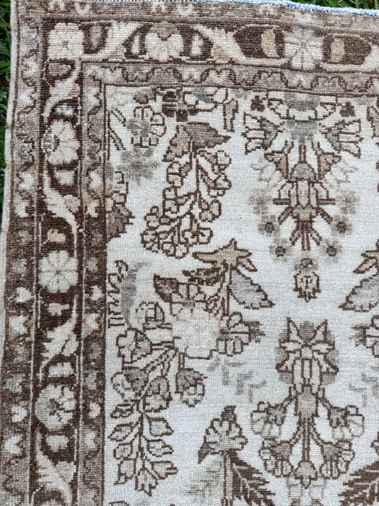 Elio (2’9” x 13’1”)