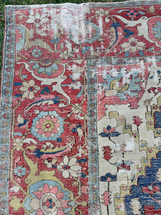 Glory (12’7” x 9’3”)